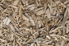 biomass boilers Rhydlios