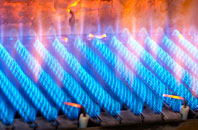 Rhydlios gas fired boilers
